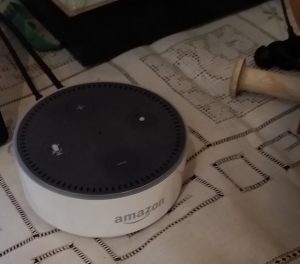 echo dot